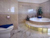 sink, bathtub, plumbing fixture, indoor, wall, tap, shower, interior, design, bathroom accessory, mirror